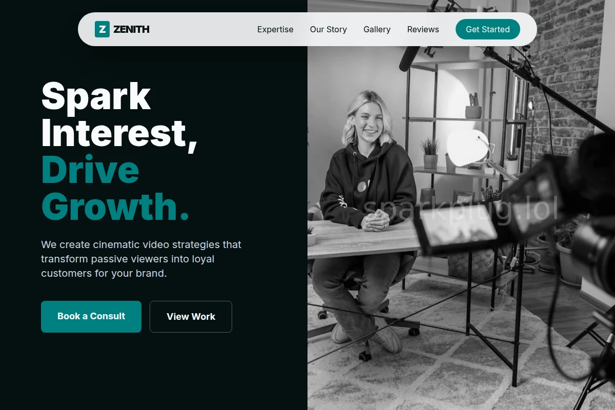 Zenith Video Marketing